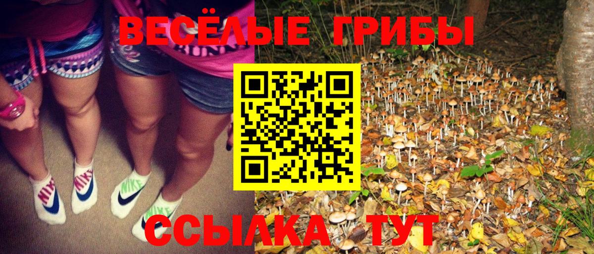 Псилоцибиновые грибы MAGIC MUSHROOMS Таганрог